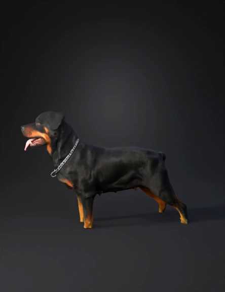Dog 3D model preview 1